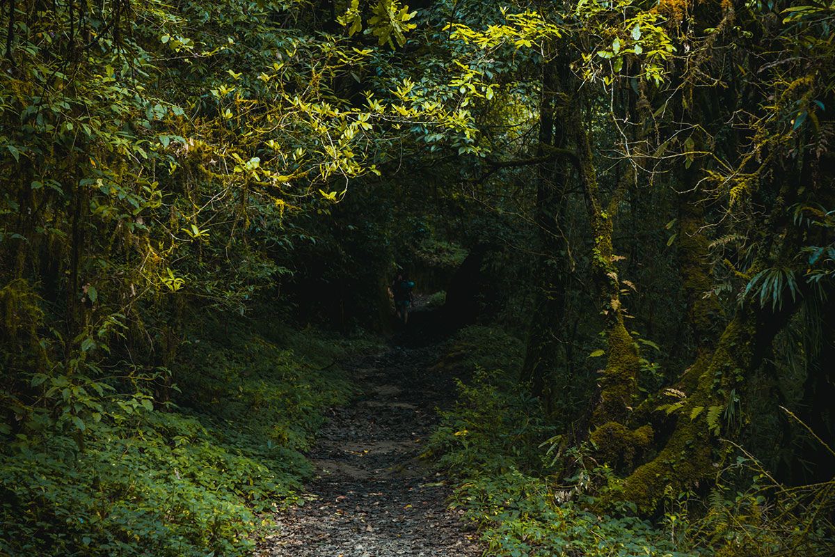 Champadevi Hike